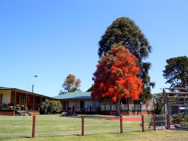 Snowy River Homestead Newmerella 外观 照片